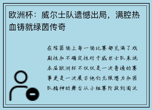 欧洲杯：威尔士队遗憾出局，满腔热血铸就绿茵传奇