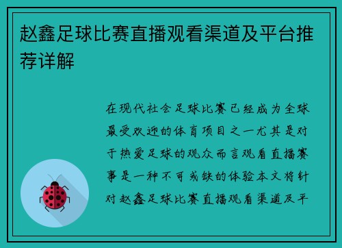 赵鑫足球比赛直播观看渠道及平台推荐详解